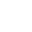 velionshop.com favicon
